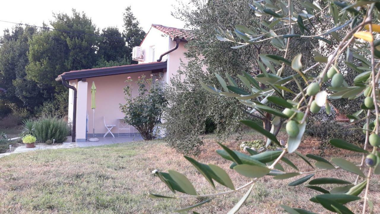 Vila House Barizoni Ankaran Exteriér fotografie