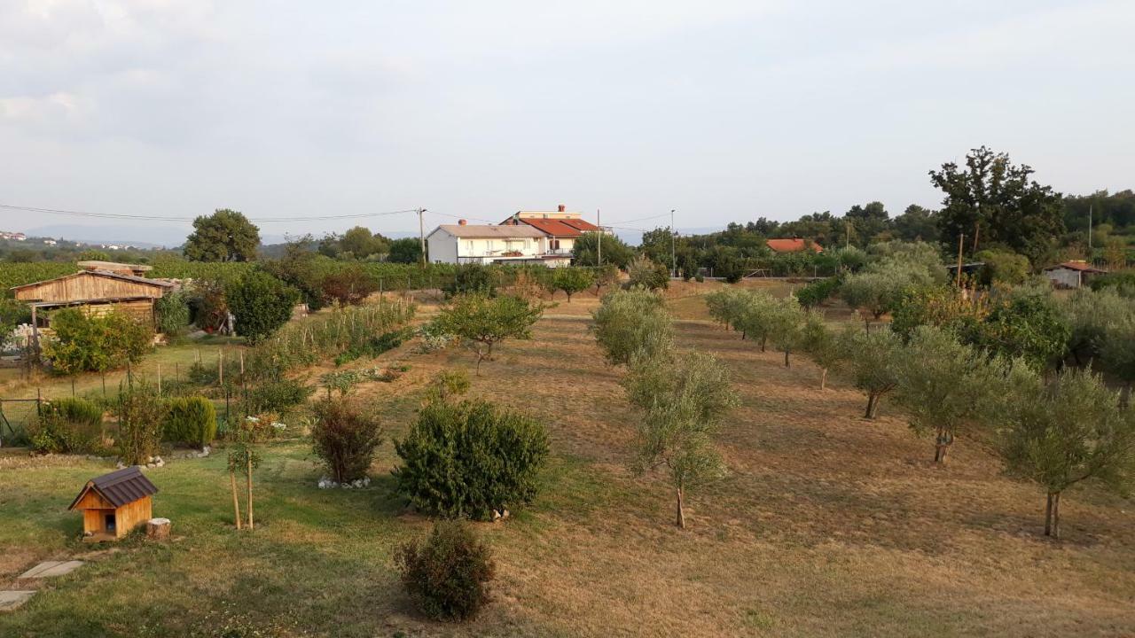 Vila House Barizoni Ankaran Exteriér fotografie